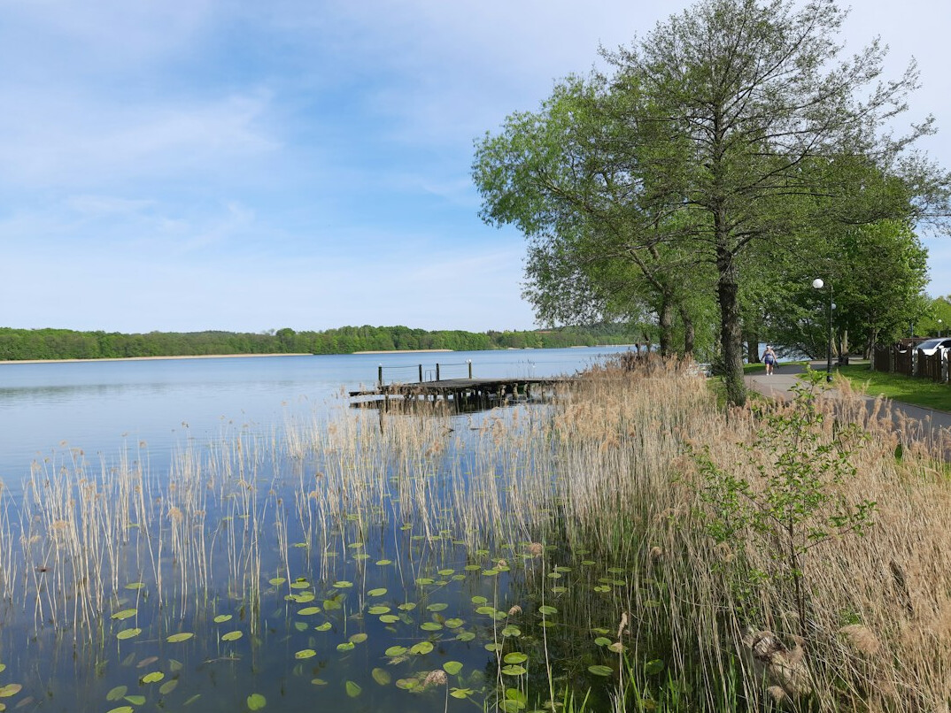 polish lake summer view
