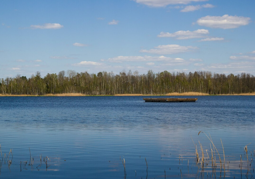 serene polish lake in summer